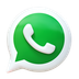 Whatsapp Icon